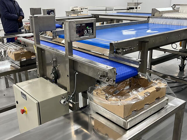 Blueberry Bulk Filling Machine