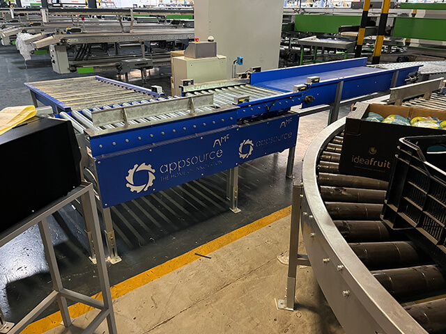 Inline Checkweigher for Food Packaging
